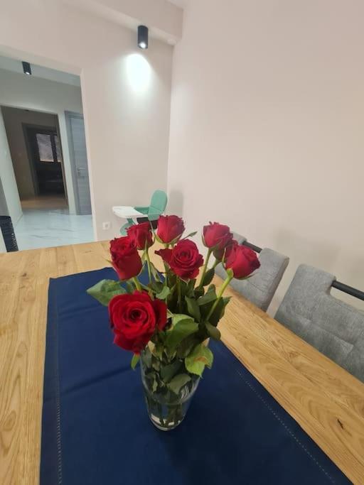 Mias Luxury Apartament Rijeka